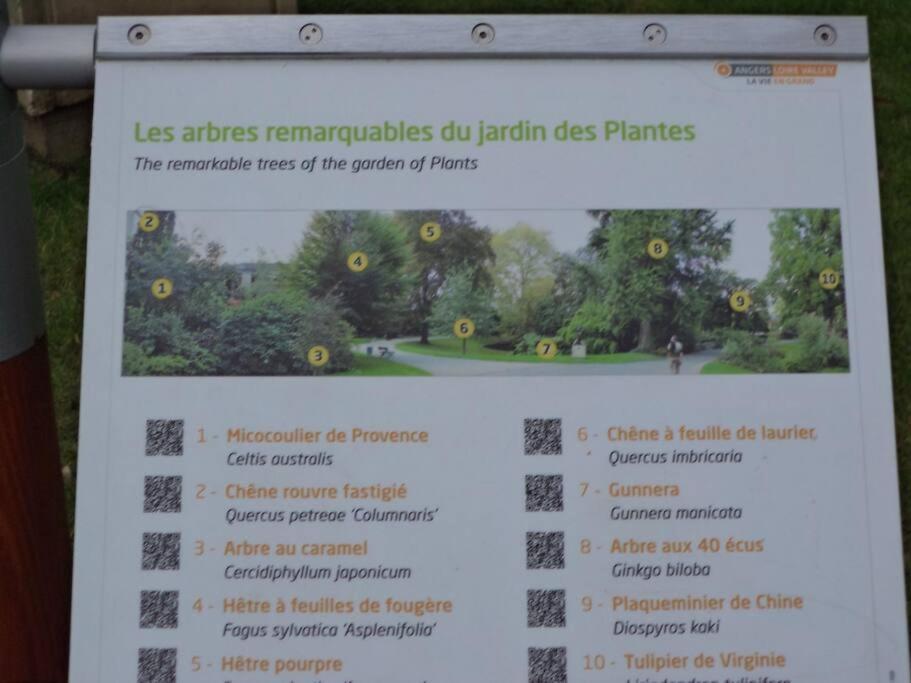 Le Grey-Jardin Des Plantes-Centre Des Congres Apartment อองเชร์ ภายนอก รูปภาพ
